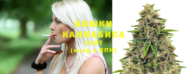 МДПВ Новозыбков
