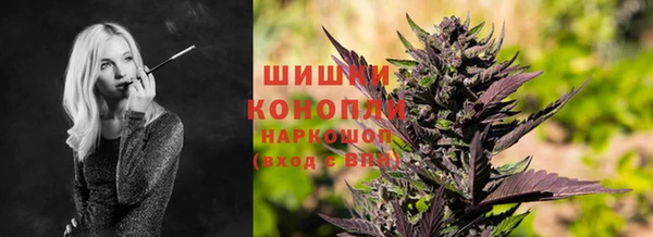 шишки Новокубанск