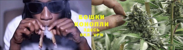 МДПВ Новозыбков