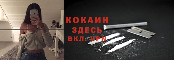 шишки Новокубанск