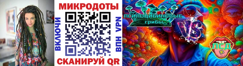мега tor  Мураши  Псилоцибиновые грибы мицелий 